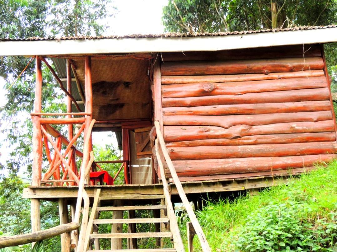 Mutanda Eco Community Center Hotel Kisoro Exterior photo