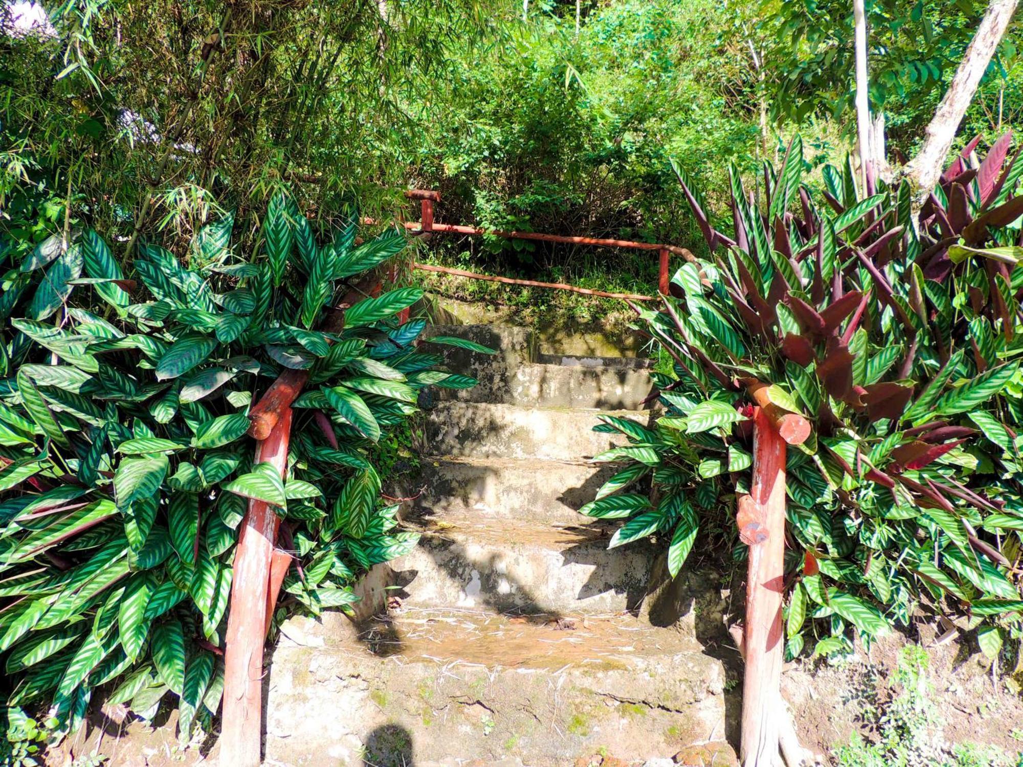 Mutanda Eco Community Center Hotel Kisoro Exterior photo